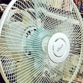 だくを
