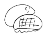 庵亀