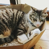 log