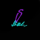 バット