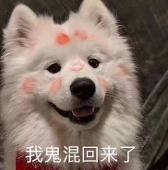佐佐