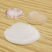 シェル