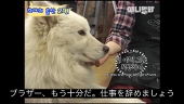 すきまかぜ