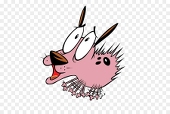 Cattus Magi