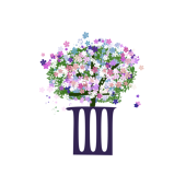皿木花