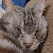 ふめ〜