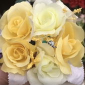 八月一日 羽織