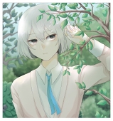 秋