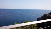 亜萱
