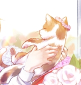 貓目Nero