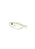 ちょろあゆ