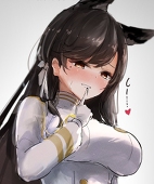 無地