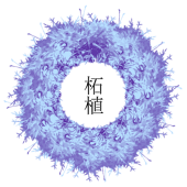 柘植