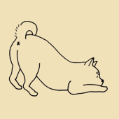 鉋