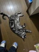フライ