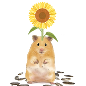げし