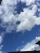 みお