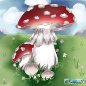 MushroomD31