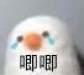 生生ove