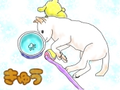 Kumako