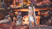 Dorumonknight