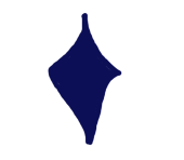 虹色鳩の都