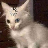 Rickumi