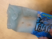 なぽれしーら