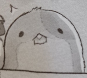 little xukai