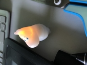 涼史