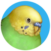 cocoon
