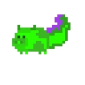 Pigon