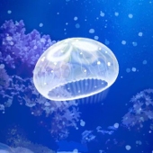 ふじっこ