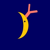 三日月サンゴ