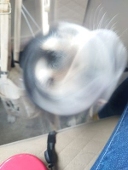 ユリージオ