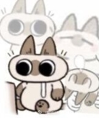 猹Ccc