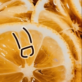 輪切りの檸檬