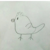 鳥