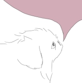 ばんび@banbi