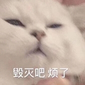 人世间ry