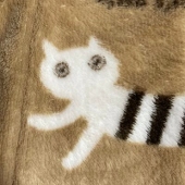 あかねこ