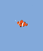 🐠