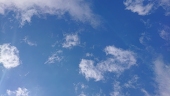 あおい