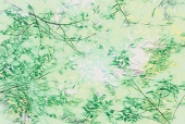 ちと