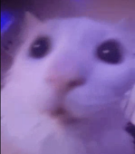 Szhoosh