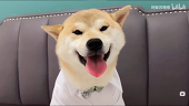 小 王