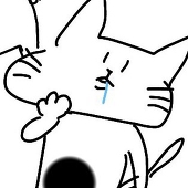 にゃむx2