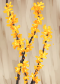 のはぎ