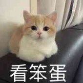 Ar阿桡