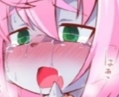 niiko